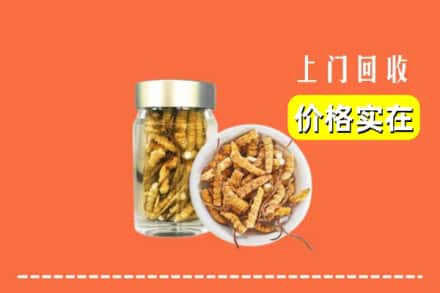 收购资讯:海林市回收散虫草