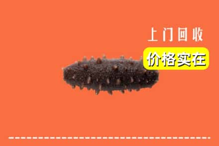 收购资讯:海林市回收海参